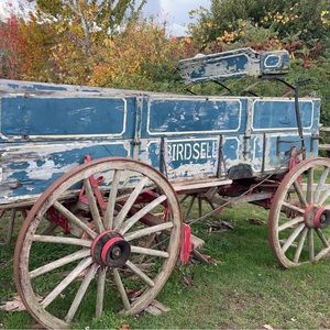 Meet your Posher, Moriah